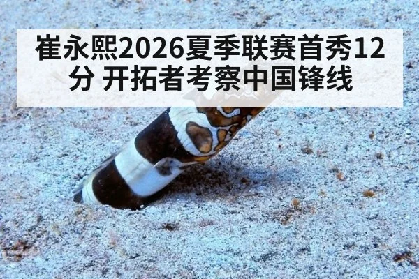 崔永熙2026夏季联赛首秀12分 开拓者考察中国锋线