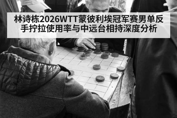 林诗栋2026WTT蒙彼利埃冠军赛男单反手拧拉使用率与中远台相持深度分析